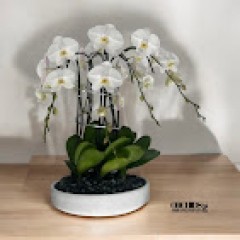 Seller Image